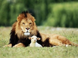 lion-and-the-lamb