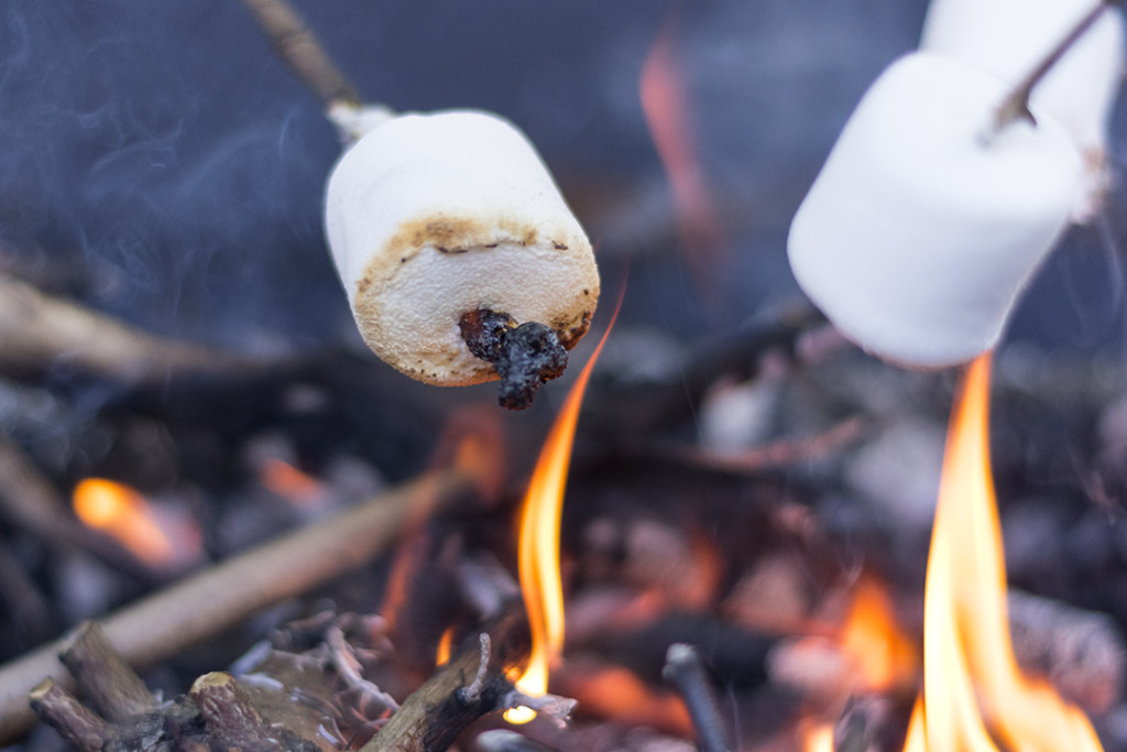 camp, marshmallows, fire, smoke, burning, wood, roasting, toasting, outdoors, camping, stikes, desserts,